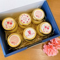 【母の日ギフトに】できたて直送!! なめらかプリン ６個セット 