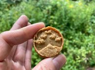 世界最古の古代小麦アインコーンダイジェスティブクッキー 2