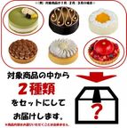 【数量限定】フレシュール季節のホールケーキ ランダムアソートBOX 2