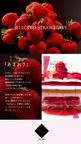 【LOUANGE TOKYO】～クリスマス限定あまおう苺のムースケーキ～ マトラッセルージュ2024 ノエル Matelassee rouge noel クリスマス2024 5