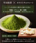 【送料無料】ガトーショコラ CHAGASHIショコラ 川本屋オリジナル缶入り ギフト 抹茶 ほうじ茶 9個セット  5