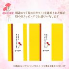 CHAGASHIショコラ ガトーショコラ 抹茶ガトーショコラ 6個セット  2