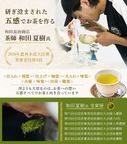 自家製パウンド5個と高級静岡茶のセット 和染め茶缶・風呂敷包装付き 父の日2026 4