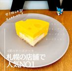 まるでチーズみたいなチーズケーキ   7