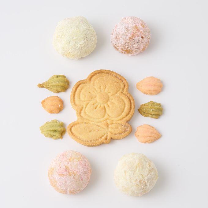 お祝いに☆桜のクッキー缶（L） 母の日2024 2