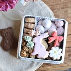 春のクッキー缶（S） ホワイトデー2026 1