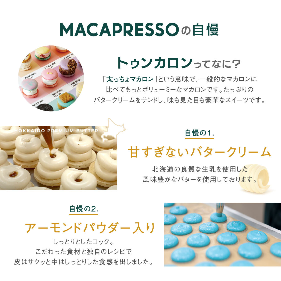 トゥンカロン マカマニア チョコミント 6個セット MACAPRESSO マカロン