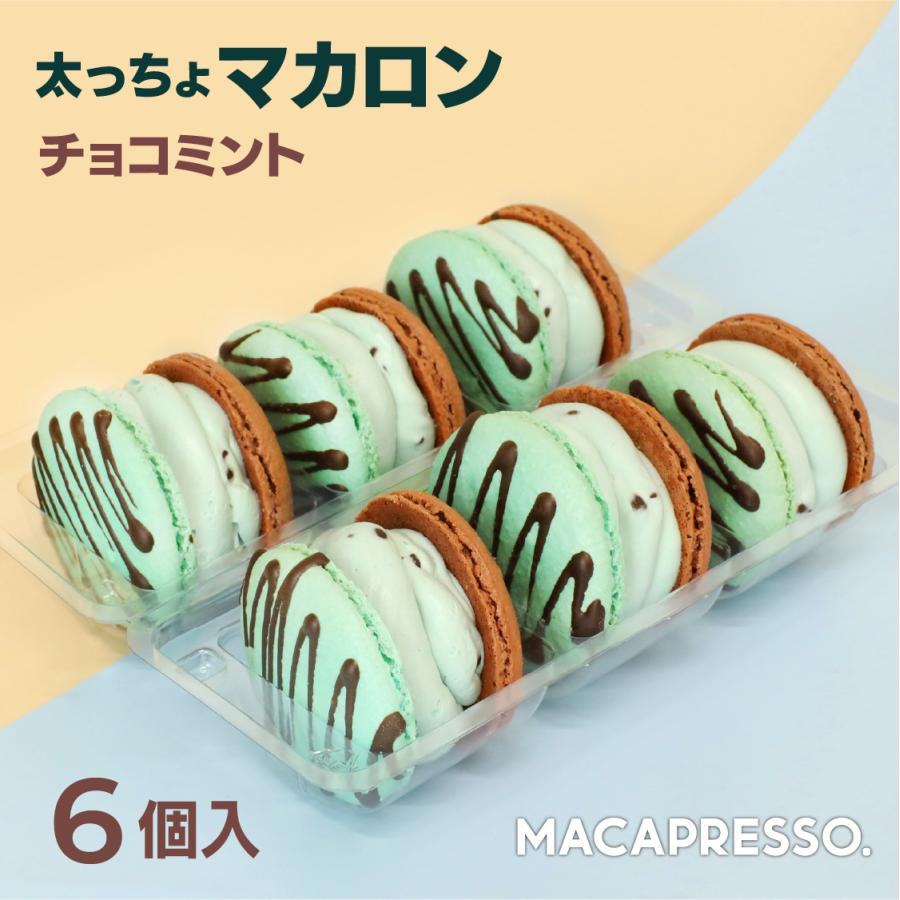 トゥンカロン マカマニア チョコミント 6個セット MACAPRESSO マカロン 