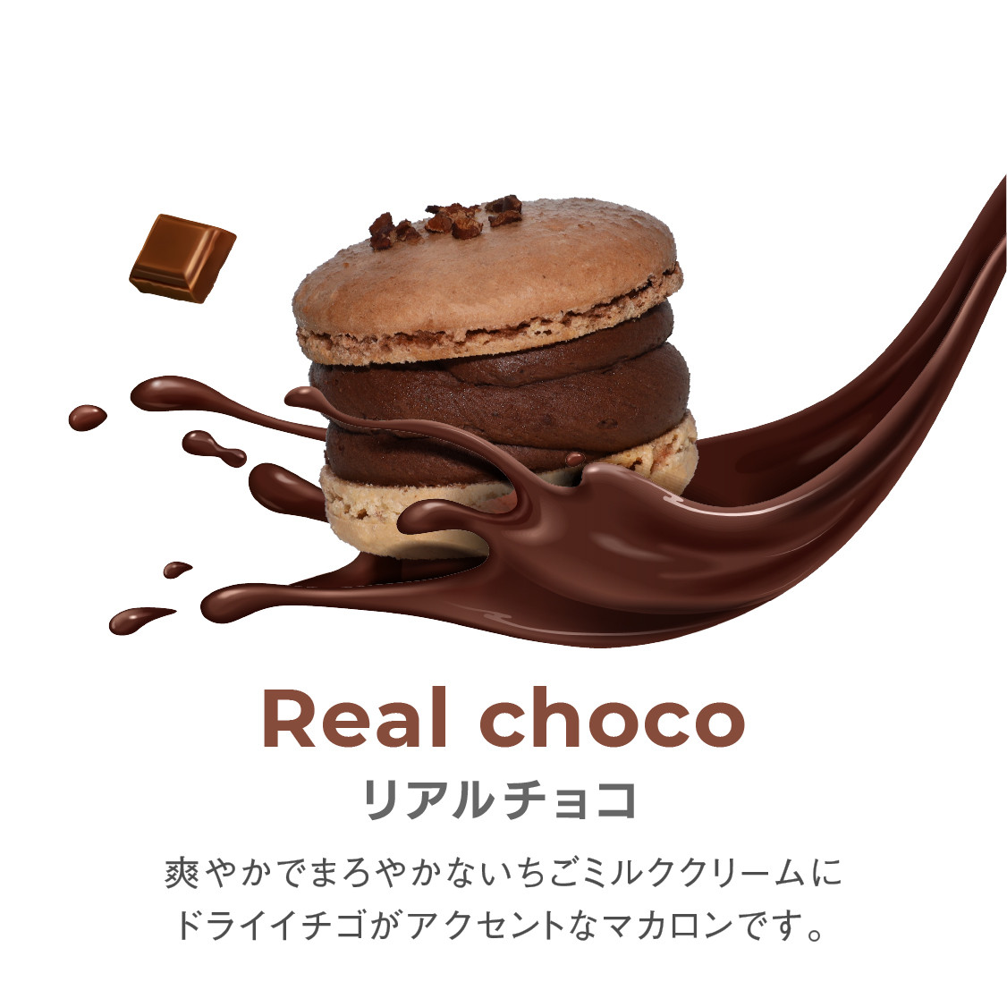 トゥンカロン マカマニア リアルチョコ 6個セット MACAPRESSO マカロン 2