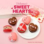  【バレンタイン】限定 ハート マカロン 3種 6個セット 太っちょマカロン バレンタインデー 2026 2