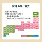 【限定】ハートマカロン3種類 6個セット マカロン トゥンカロン 太っちょマカロン MACAPRESSO バレンタインデー2025 9