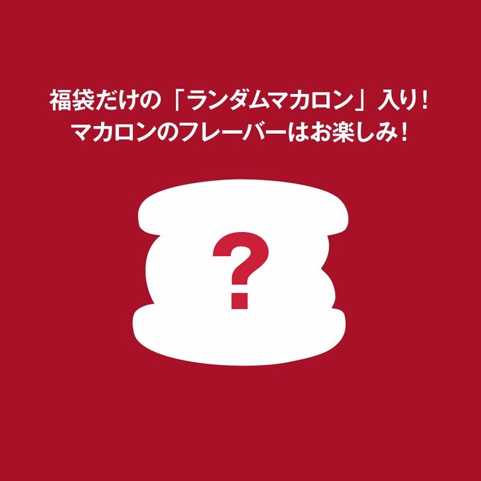 【2026年福袋】マカロン+フィナンシェ+ラスク2袋 お得セット 6