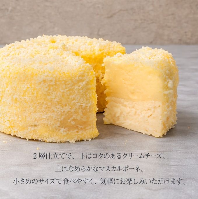 【新商品】プチチーズケーキ 6個セット FROMAGER DE 母の日 2026 6