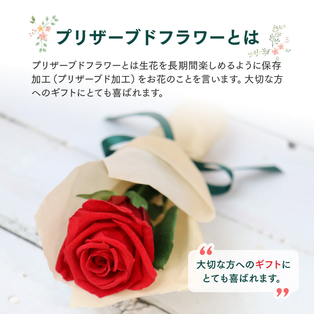 お花】12個 セット オールスター トゥンカロン MACAPRESSO