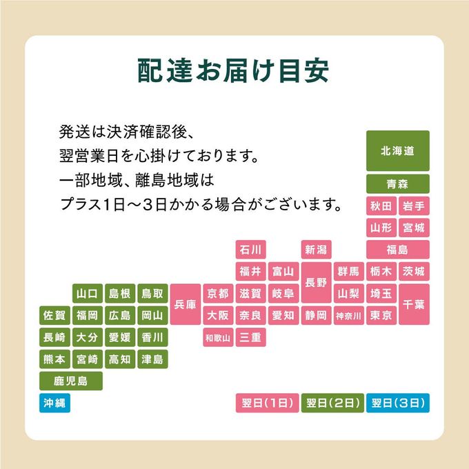 【クリスマス】限定 6個セット MACAPRESSO マカロン トゥンカロン 太っちょマカロン クリスマス2024 9