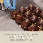 【THE BAKE FACTORY】プチ贅沢フィナンシェ ドバイチョコ味 12個セット TBF  父の日 2026 6