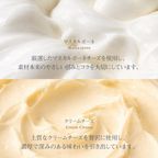 【新商品】プチチーズケーキ 6個セット FROMAGER DE 母の日 2026 5