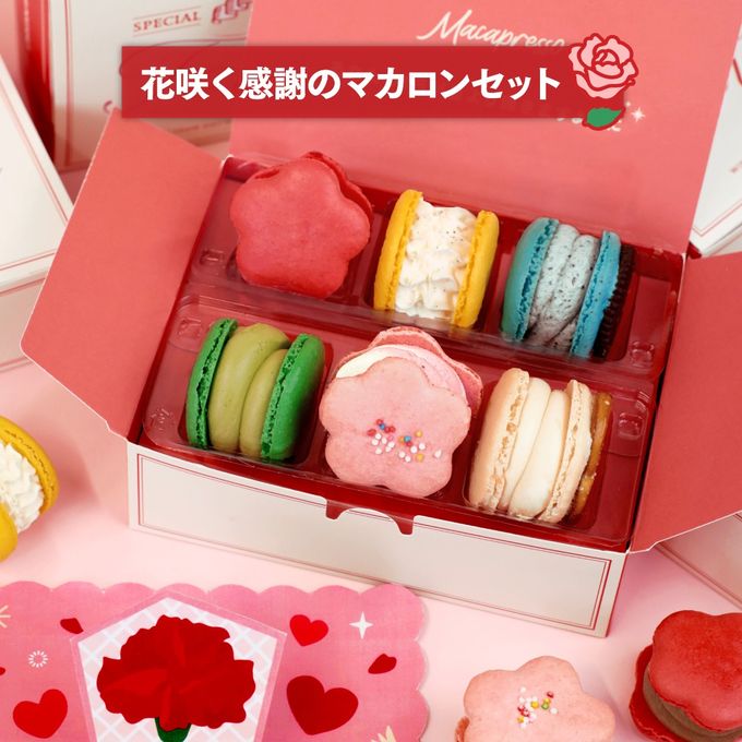 【母の日】お花マカロン 6個セット 限定 MACAPRESSO マカロン トゥンカロン 母の日 2026 3