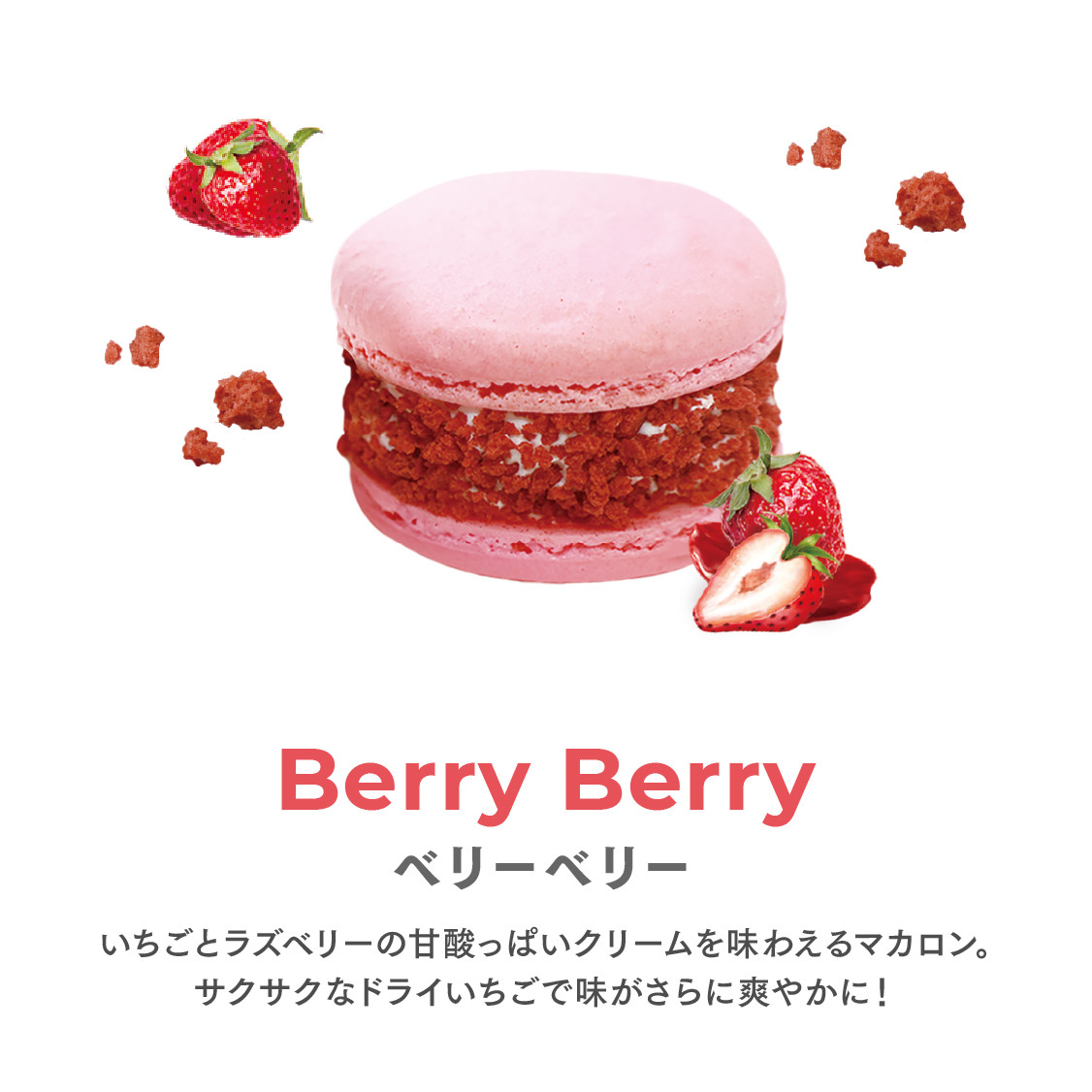 トゥンカロン マカマニア ベリーベリー 6個セット MACAPRESSO マカロン 2