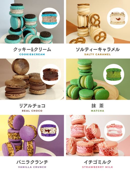 【お花】12個 セット オールスター トゥンカロン MACAPRESSO マカロン 秋 冬ギフト クリスマス2024 4