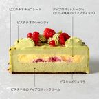 ピスタチオパレ 6