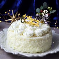 【PATISSERIE TOOTH TOOTH】ジニアブラン 5号 15cm 