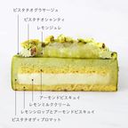 ピスタチオエテ② 3