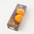 【都内の人気店・パティスリーラヴィアンレーヴ】オレンジケーキ 5個入り 4