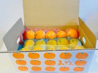 【SIUNAUS SWEETS】みかんドーナツ 15個BOX 2
