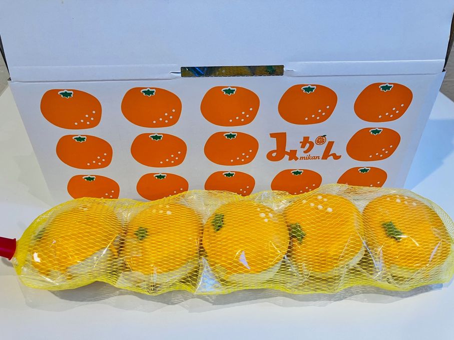 【SIUNAUS SWEETS】みかんドーナツ 15個BOX 1