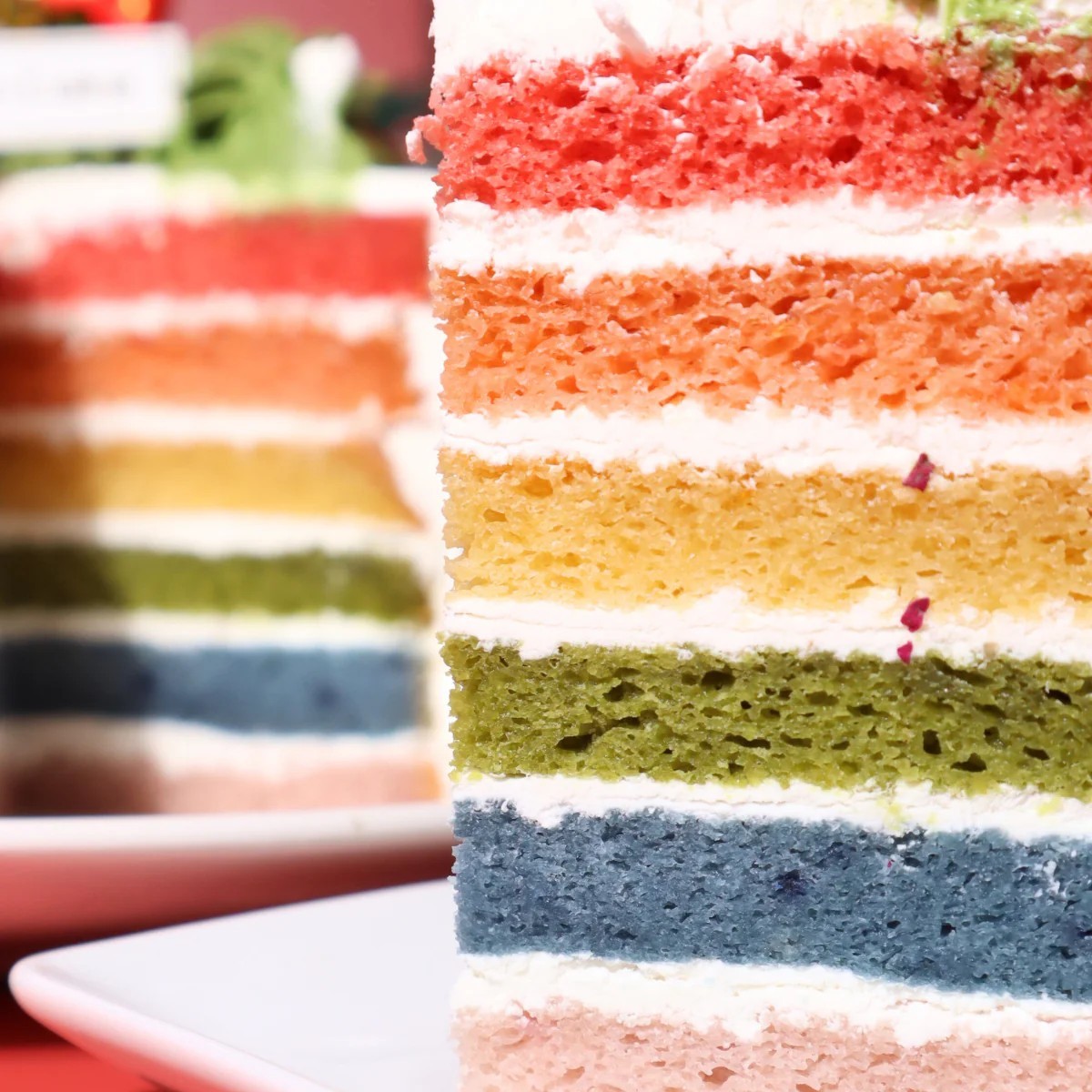 夢幻レインボーケーキ クリスマスリースver.（松竹圓） | Cake.jp