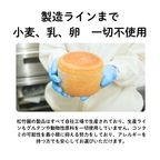 米粉スポンジケーキ 4号 《小麦、乳、卵不使用》【ベビー&キッズ】アレルギー対応 9