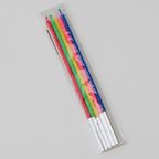 【店頭受取】豆乳クリームのクリスマスデコレーション 4号  10