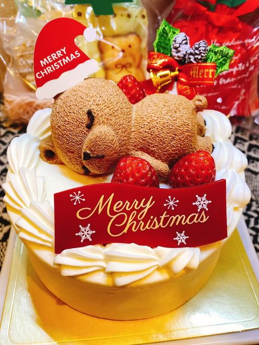 おやすみクマちゃん、クリスマス 4号12cm クリスマス2026 1