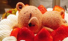 おやすみクマちゃん、クリスマス 4号12cm クリスマス2026 2