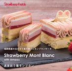 あまおう苺モンブランクリスマスケーキ 2