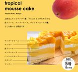 トロピカルムースケーキ 4