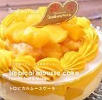 トロピカルムースケーキ 2