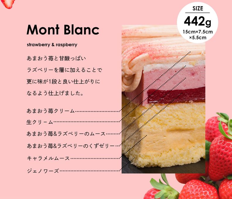 あまおう苺モンブランクリスマスケーキ 4