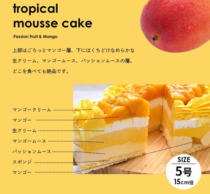 トロピカルムースクリスマスケーキ(パッションフルーツ&マンゴー) 3