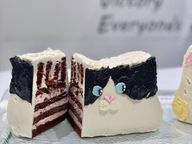 《センイルケーキ》韓国で人気の立体動物ケーキ《色と模様がオーダーできる》 2