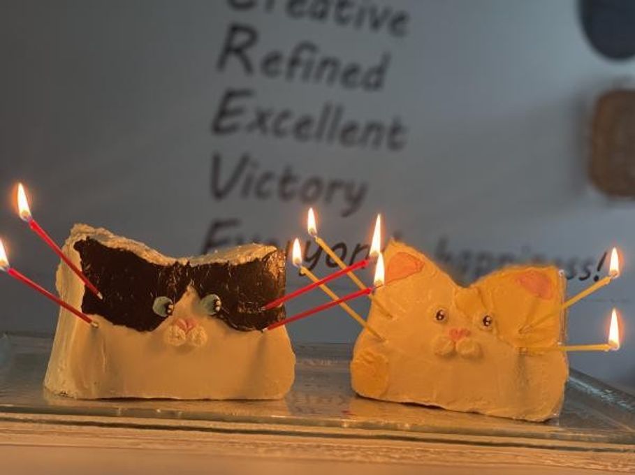 《センイルケーキ》韓国で人気の立体動物ケーキ《色と模様がオーダーできる》 5