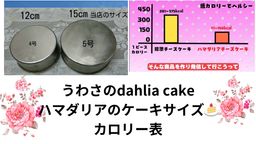 低カロリーチョコレートレアーdahliaケーキ 8