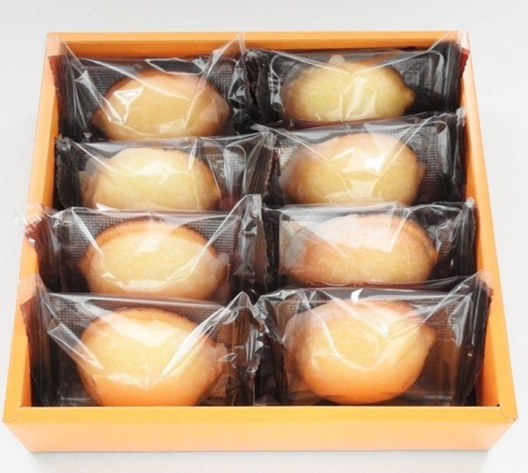 瀬戸田レモンケーキ 8個入り  2