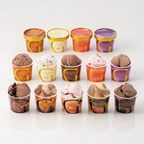  【GODIVA】  【オンラインショップ限定・送料込】アイス コレクション 120ml（14個入）＋ スプーン2本付き お中元2026 8