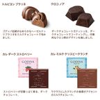 【GODIVA】ゴディバ 早春のベルギー アソートメント（10粒入） 5