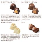 【GODIVA】ゴディバ ニューイヤー コレクション アソートメント（15粒入） 5
