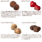 【GODIVA】ベルギースイーツ アソートメント（9粒入） 6