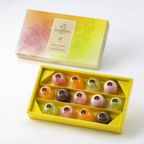 【GODIVA】ムースショコラ エ カカオフルーツジュレ（13個入）父の日2026 1