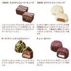 【GODIVA】ゴディバ ウィンターワンダーズ ツリー セレクション（10粒入） 4